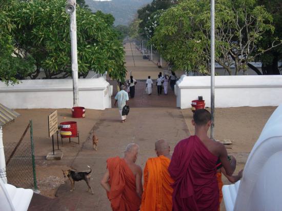 Kataragama