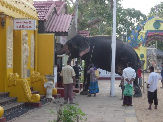 Kataragama