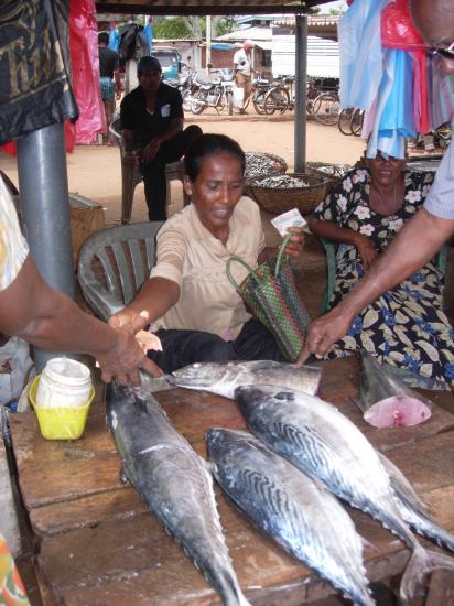 marché à Négombo