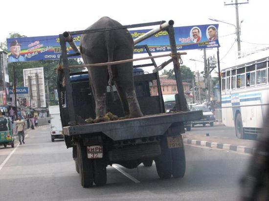 Sri Lanka