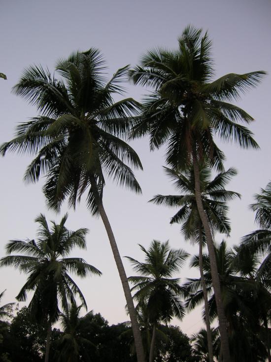 Sri Lanka