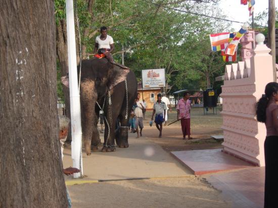 Kataragama