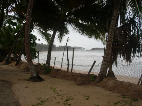 Mirissa