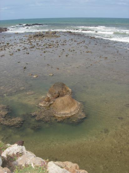 Galle