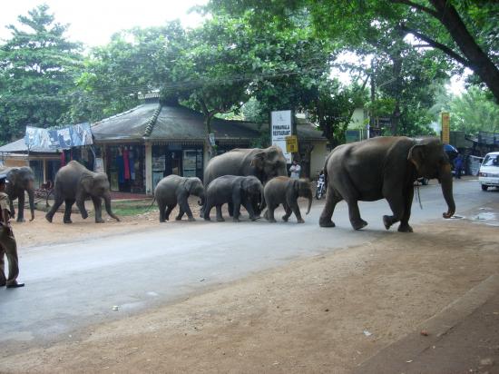 Sri Lanka