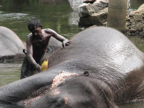 Sri Lanka